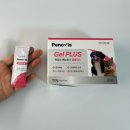 보플러스 | 강아지/ 고양이 투약 보조제겸 영양제 "페노비스 겔 플러스" 급여 후기