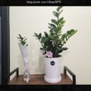 공감특허법률사무소 - 전주시 덕진구 온고을로 517-1 | 공감특허법률사무소