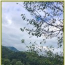 자연속공간 이미지