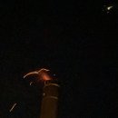 그로브동산 이미지