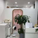 smile애견미용 이미지