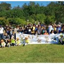 용산초등학교 이미지