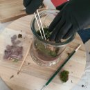 원예 테라리움 이미지