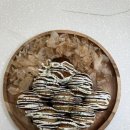연다방 이미지