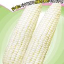 한농농자재 이미지