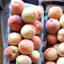 태화농장 이미지