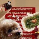 뉴니(NEWNEE) 이미지