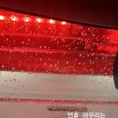 리송스 이미지