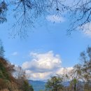 자작나무 | 연말 가볼만한 곳 여행지 인제 자작나무숲 후기 및 입산시간, 코스 등