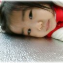 채연농장 이미지