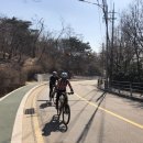 이플라라