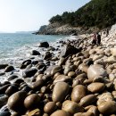 몽돌 티스토리