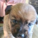 묵동-055 이미지