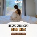 해안민박 | 제주도 감성 숙소 제주 하뭇 때문에 비행기 티켓 끊은! 금능해수욕장 민박 독채 숙소 B동 후기