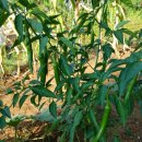 영미민박 이미지