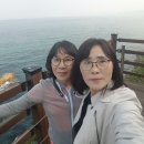 5월 정기산행 정동심곡 바다 부채길 [면민회 합동 산행] 이미지