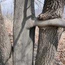 태종농장 이미지