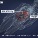 의외로 비행기 기내식 안먹으면 생기는 일...jpg 이미지