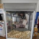 해맑은유치원 | 아이들이 너무 좋아했던 하루! 해맑은태권도 영화상영 &amp; 팝콘파티