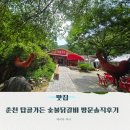 가우미 탑골가든 본점 | 골퍼들이 무조건 찾는 춘천 탑골 가든 숯불 닭갈비 내 돈 내산 후기