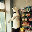 카페오르소(ORSO)