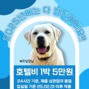 라지독스 이미지