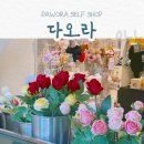 수원-0645 네이버블로그