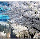 수원하이텍고등학교 이미지