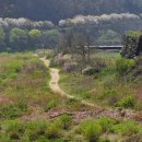 소머거리 이미지