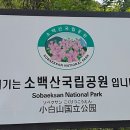 소백산가는길민박 이미지