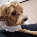 배산공원 화장실 이미지