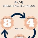 고릴라 멀티짐 이미지