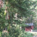 콩사랑마을 이미지