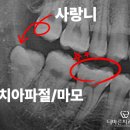 화서치과의원 이미지