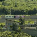 팔도한방오리 | [7월-2] 매미들아 더 세게 울어 맴맴~