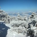 관음사입구 이미지