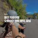발리 자유여행 오토바이 렌트 후기 가격 왓츠앱 예약 꿀팁