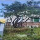 옥실농장 이미지