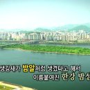 밤섬이야기 이미지