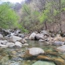 그린농원민박 이미지