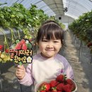 웅천초교병설유치원 이미지