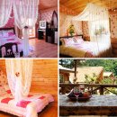 상록수펜션 이미지