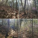 제936회차 7/15 춘천 오봉산(779 m) 및 청평사 산행예약 신청 이미지