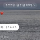 네일빛들