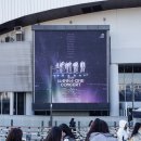 cu단관중앙점 | 워너원 콘서트 Therefore 첫콘 스탠딩 후기