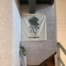 [카페] 첫 방문 대만족 산청 생초리카페(Sanctuary)