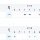 (주)공항국제여행사