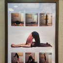 음양오행한의원 이미지