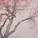 거제문화예술회관 이미지