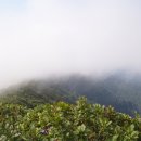 기약없이 떠난 비박산행..심산행(첫날.둘째날) 이미지